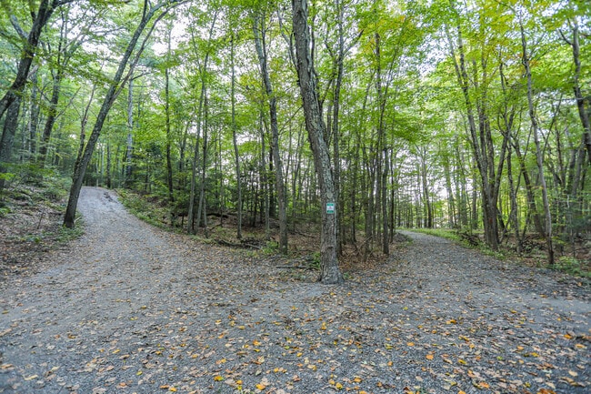 Apartments for rent in Littleton, MA