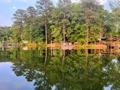 1232 Lazy Creek Ct in Chapin, SC - Building Photo - Building Photo