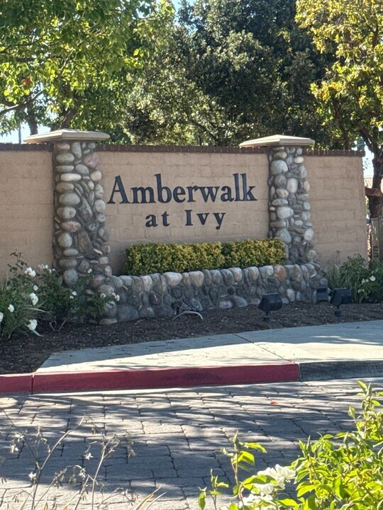 25031 Quince Hill St in Murrieta, CA - Building Photo