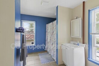 704 S Vine St in Urbana, IL - Building Photo - Building Photo
