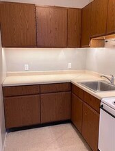 146 Gooding St in La Salle, IL - Foto de edificio - Building Photo