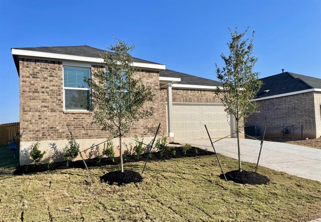 234 Magalia Ln in Kyle, TX - Building Photo - Building Photo