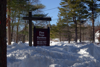 Pine Tree Gardens in Foxboro, MA - Building Photo - Building Photo