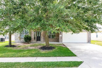 817 Old Wick Castle Way in Pflugerville, TX - Building Photo - Building Photo