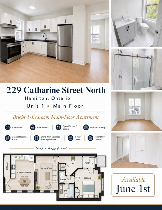 property at 229 Catharine St N