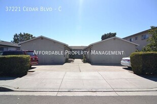 37221 Cedar Blvd in Newark, CA - Building Photo