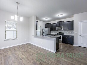 1029 Harlow Hill Ct in Charlotte, NC - Building Photo - Building Photo