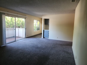 4260 Clayton Rd in Concord, CA - Building Photo - Building Photo