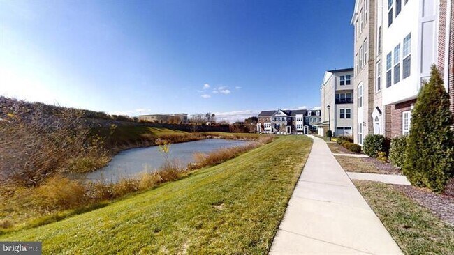 42727 Eildon Terrace in Ashburn, VA - Building Photo - Building Photo