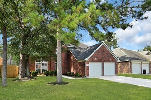 25515 Buffalo Springs Ct in Spring, TX - Building Photo