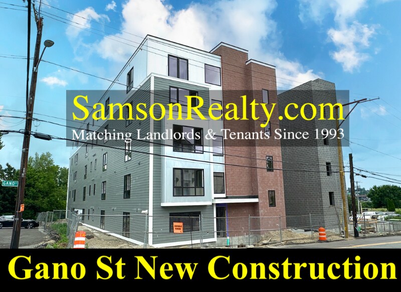 165 Gano St in Providence, RI - Building Photo