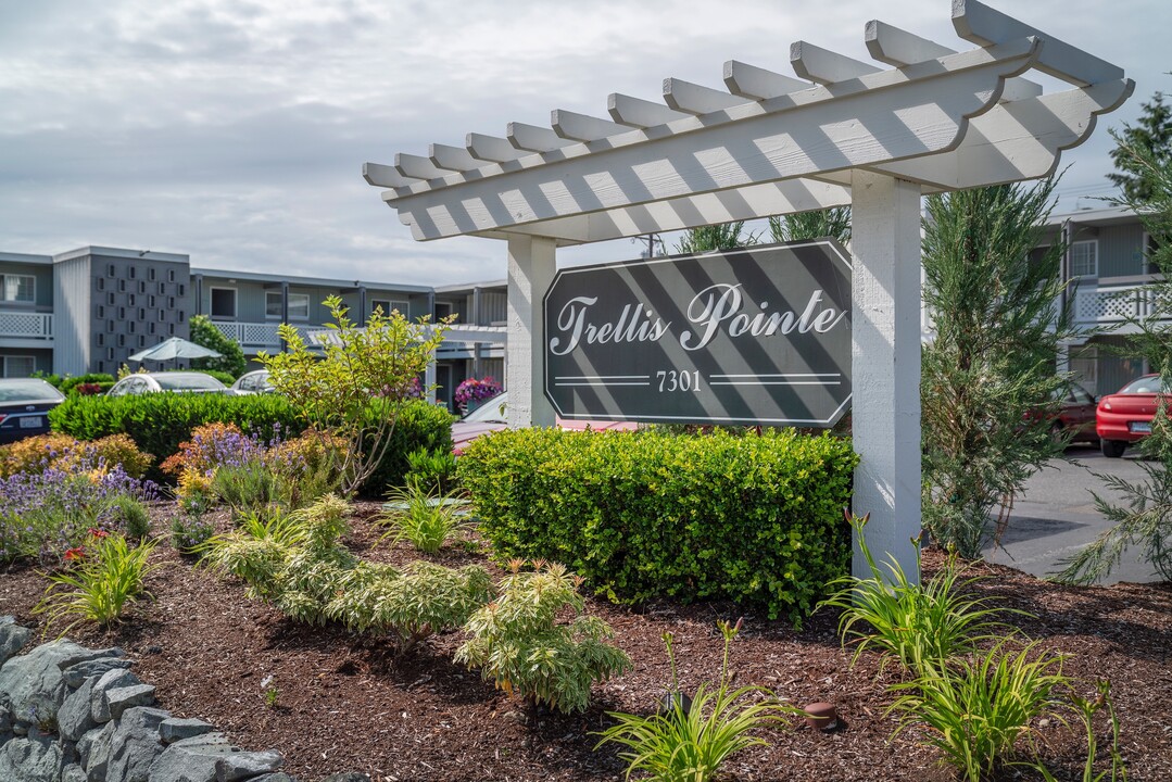 Trellis Pointe Apartments in Tacoma, WA - Foto de edificio