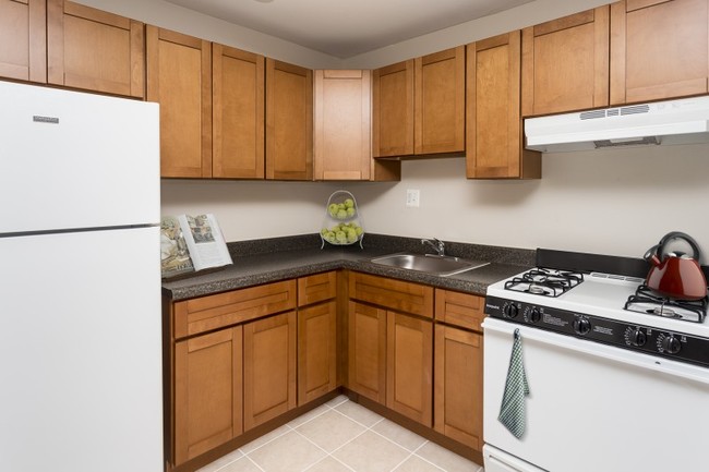 Forest Park Apartments in Silver Spring, MD - Building Photo - Building Photo