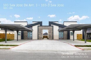103 San Jose Dr in Mission, TX - Building Photo