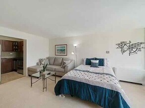 21 W Goethe St in Chicago, IL - Building Photo - Building Photo