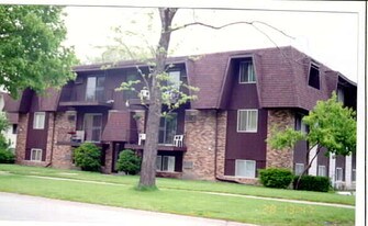 4206 Lindenwood Drive in Matteson, IL - Building Photo