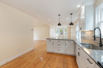 48 W Tremlett St, Unit 1 in Boston, MA - Building Photo - Building Photo