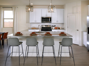 10315 W Robertson St in Marana, AZ - Building Photo - Building Photo
