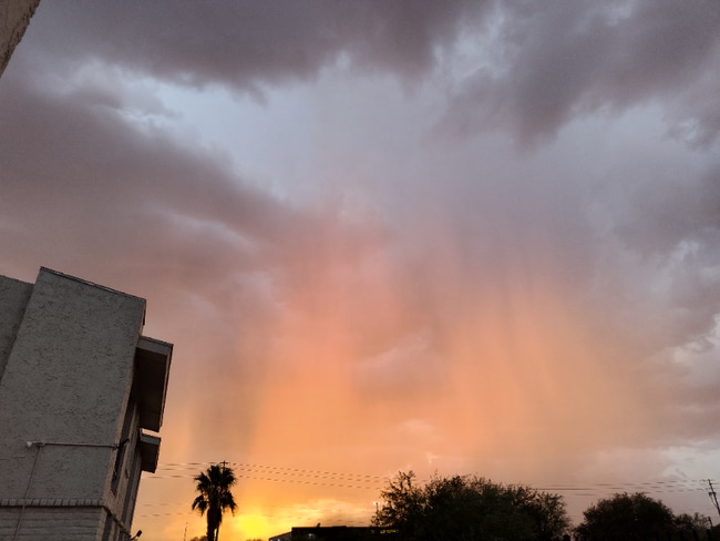 15551 Sunland Gin Rd