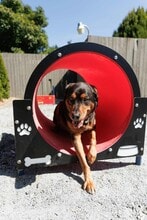 Hilltop in the Highlands in Renton, WA - Building Photo - Building Photo