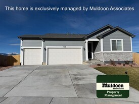 9236 Marsh Elder Pl in Colorado Springs, CO - Building Photo