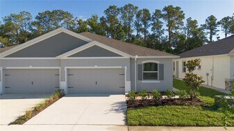 31351 Paper Birch St in Wesley Chapel, FL - Building Photo