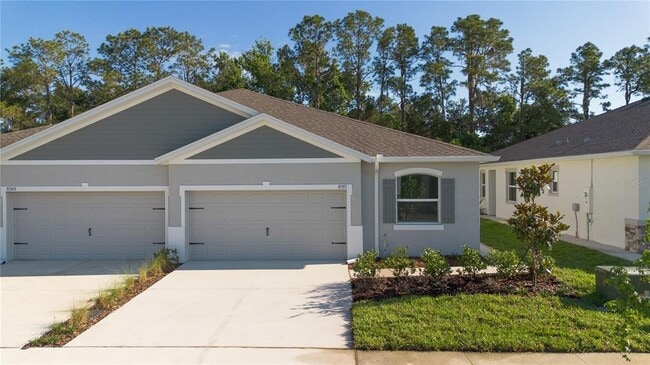 property at 31351 Paper Birch St