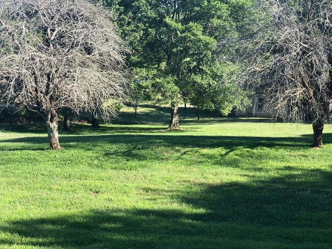 102 Medearis Dr in Mount Juliet, TN - Building Photo - Building Photo