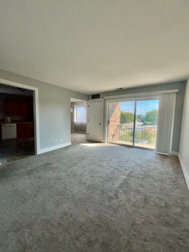 14949 Lake View Dr in Orland Park, IL - Building Photo - Building Photo