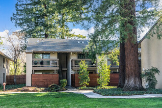 Station West in Walnut Creek, CA - Building Photo - Building Photo