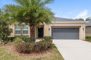 14279 Blue Dasher Dr in Riverview, FL - Building Photo