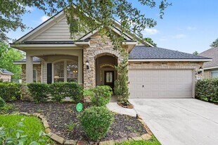 7 Fraiser Fir Pl in The Woodlands, TX - Building Photo