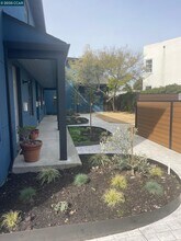 1325 Hopkins St in Berkeley, CA - Building Photo - Building Photo