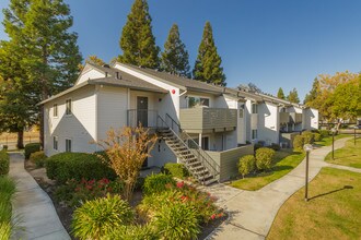 The Harlow in Sacramento, CA - Building Photo - Building Photo