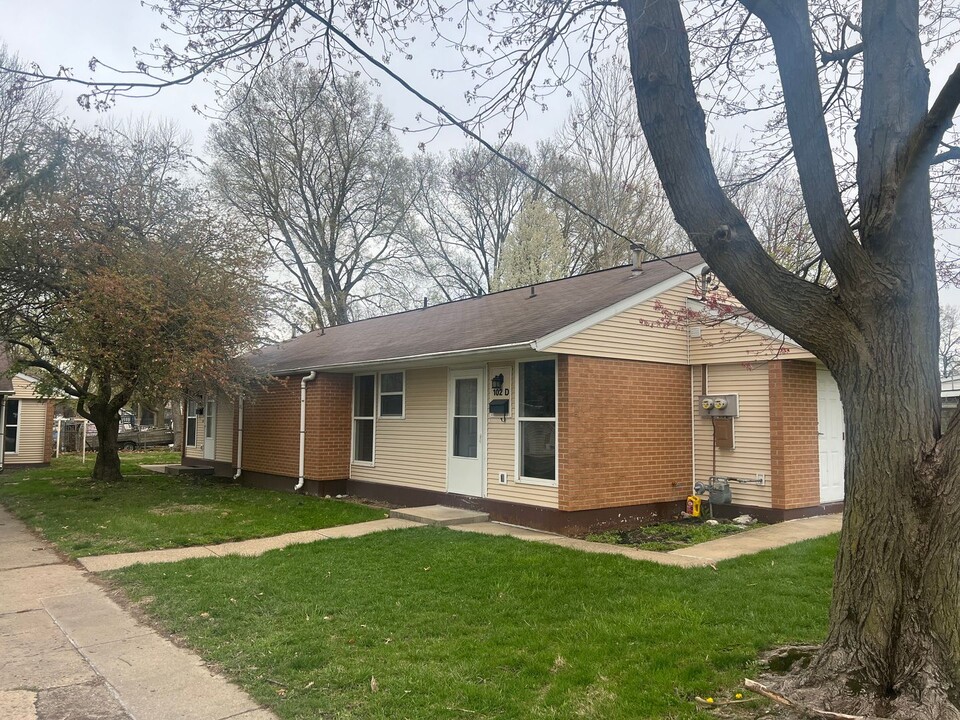 102 Chestnut St in Tallula, IL - Building Photo