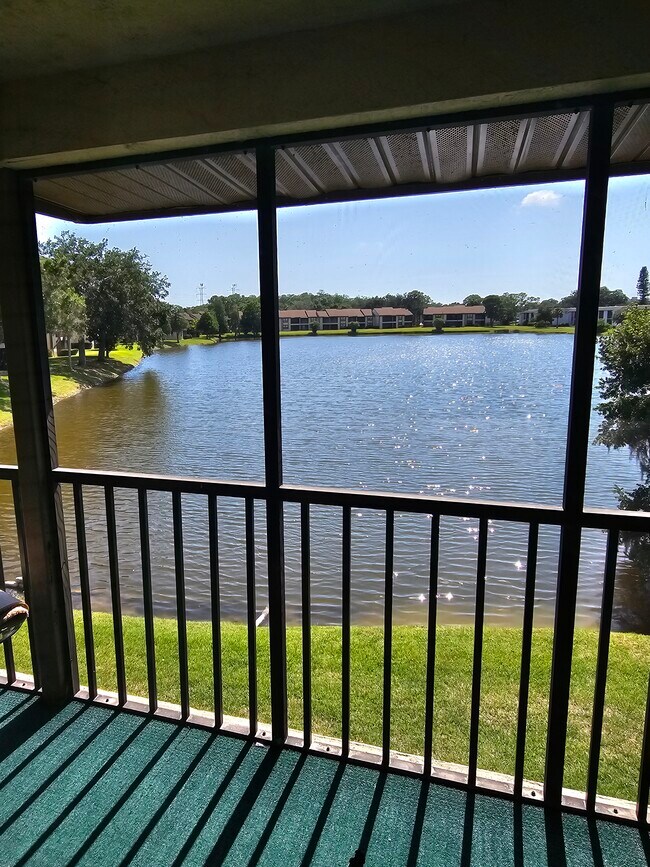 210 Woodlake Wynde in Oldsmar, FL - Building Photo - Building Photo