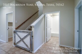 3807 Malmaison Road in Killeen, TX - Foto de edificio - Building Photo
