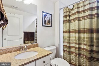 21234 Park Grove Terrace in Ashburn, VA - Building Photo - Building Photo
