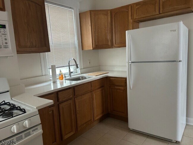 374 Halsted St in East Orange, NJ - Building Photo - Building Photo
