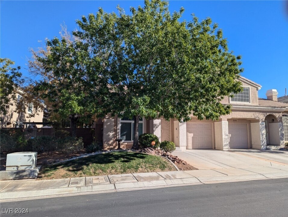 10124 Rising Tree St in Las Vegas, NV - Building Photo