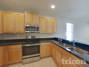 1036 Napolean Way in Wesley Chapel, FL - Building Photo - Building Photo