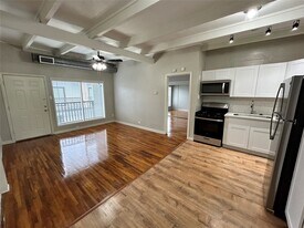 219 Marshall St in Houston, TX - Building Photo