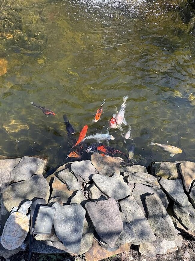 114 Greenway Blvd in Elmont, NY - Building Photo - Building Photo