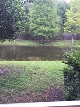 4134 Bismarck Palm Dr in Tampa, FL - Building Photo - Building Photo