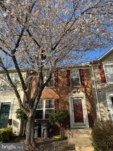 14342 Papilion Way in Centreville, VA - Building Photo - Building Photo