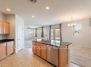 11545 W Oilseed Dr in Marana, AZ - Building Photo - Building Photo