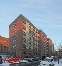 Remeeder Houses in Brooklyn, NY - Building Photo - Building Photo