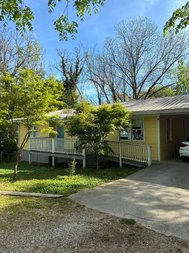 255 Magnolia St in Athens, GA - Building Photo - Building Photo