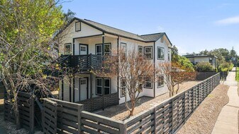 814 W Mary St in Austin, TX - Building Photo