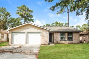 4911 Adonis Dr in Spring, TX - Building Photo